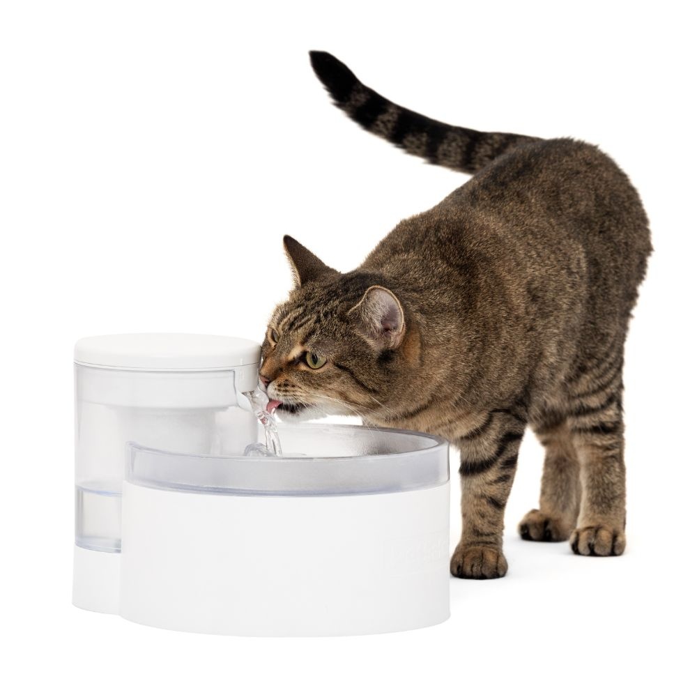 PetSafe huisdierenfontein Outlast™ 1,7 L – pompvrij