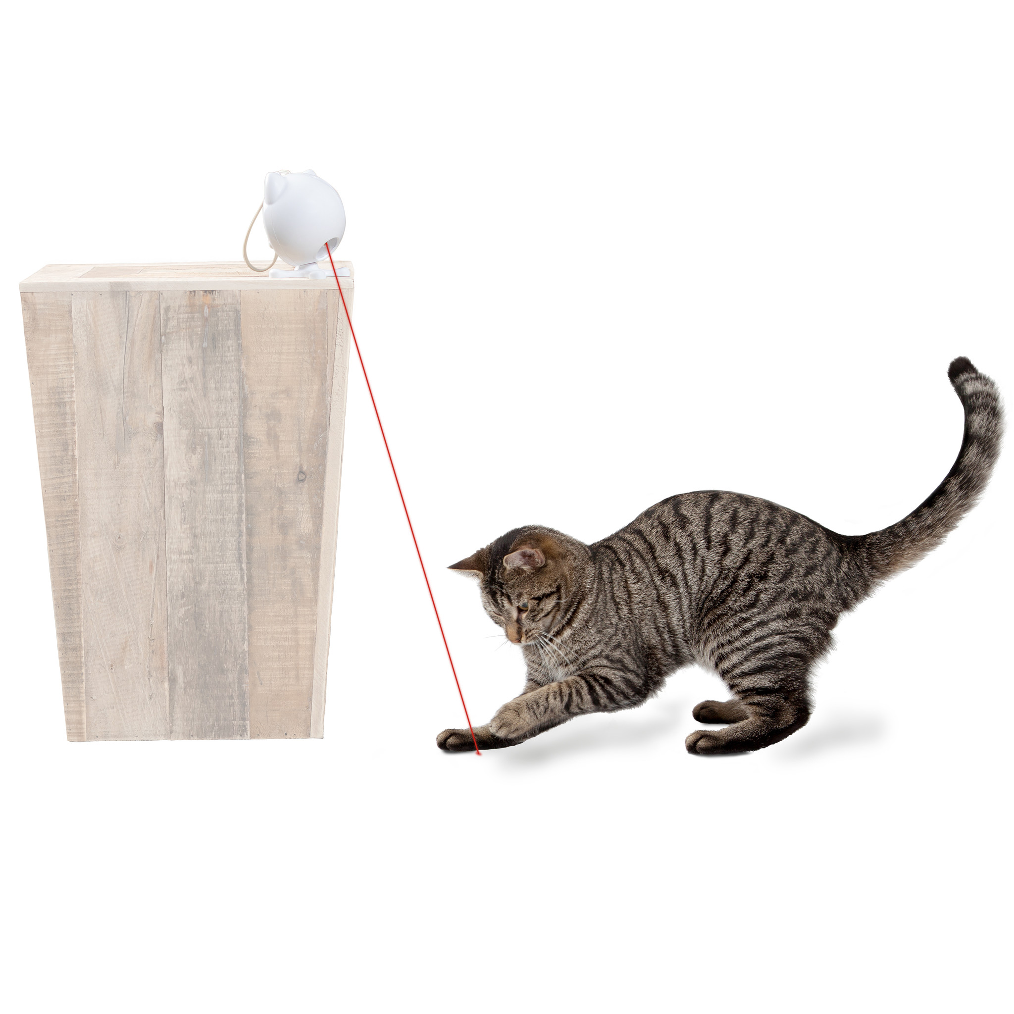 PetSafe Laser Kat Speelgoed Dancing Dot – Willekeurig Bewegen