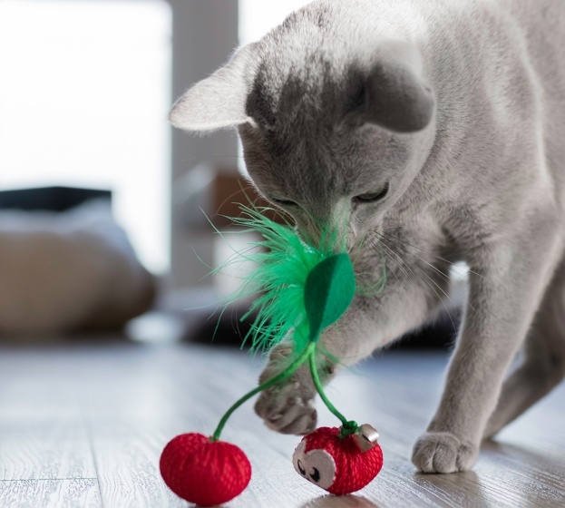 Petstages katten speeltje Dental Cherries – speelse tandreiniging