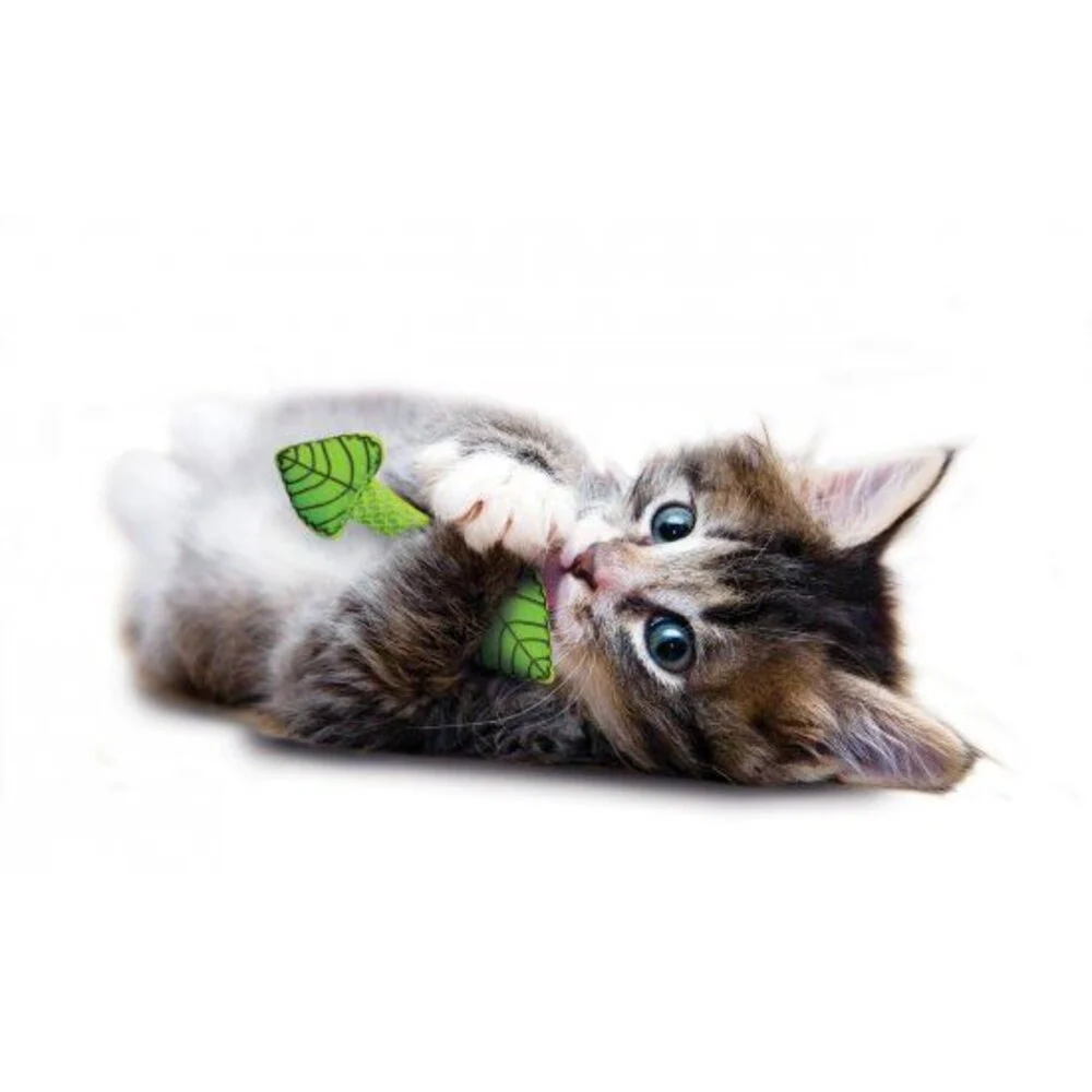Petstages kattenspeeltje Fresh Breath Mint Stick – Verwijdert tandplak