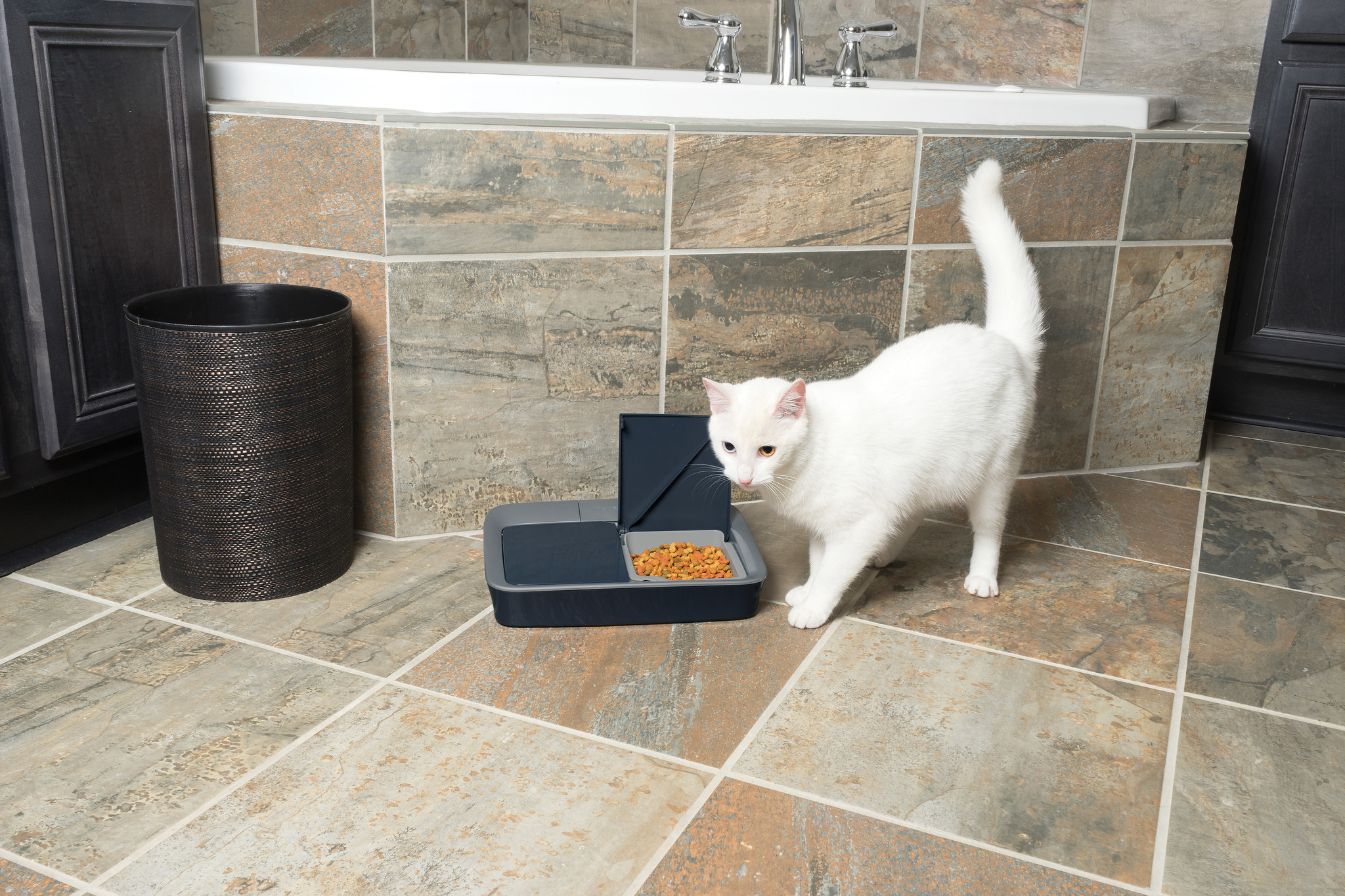 PetSafe Digitale Voerautomaat 2 Maaltijden – Geschikt voor Katten en Kleine Honden