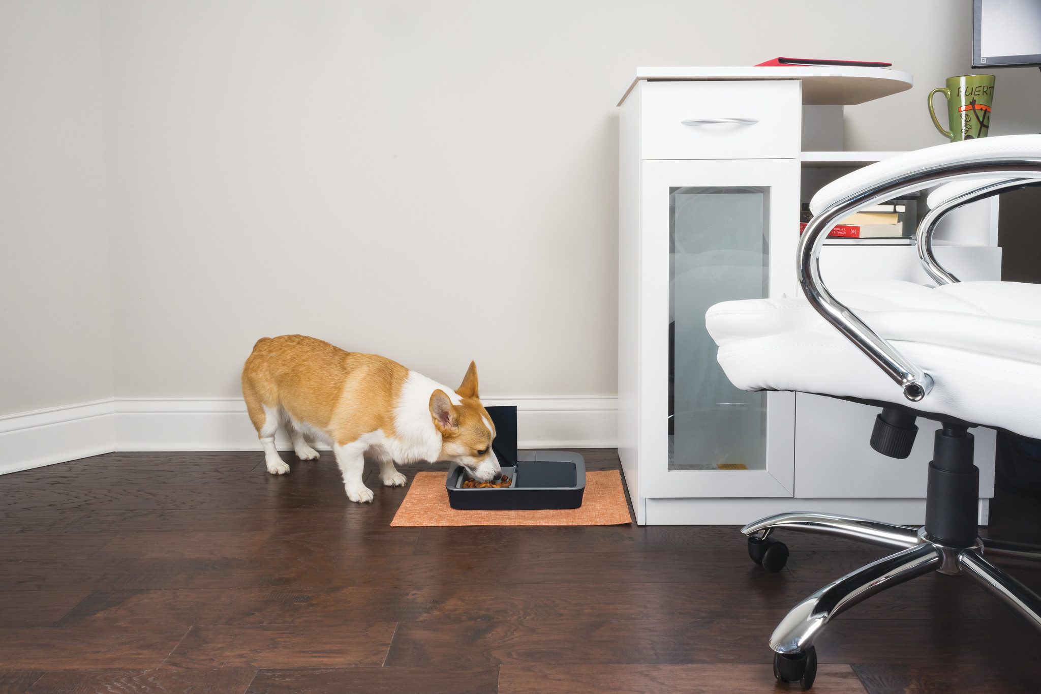 PetSafe Digitale Voerautomaat 2 Maaltijden – Geschikt voor Katten en Kleine Honden