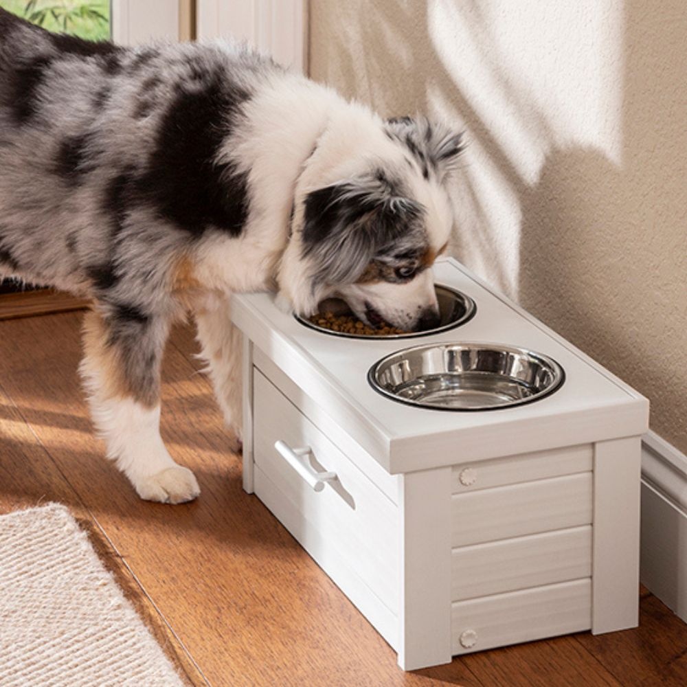 New Age Pet Piedmont Pet Diner S 46×21 cm – Antique White