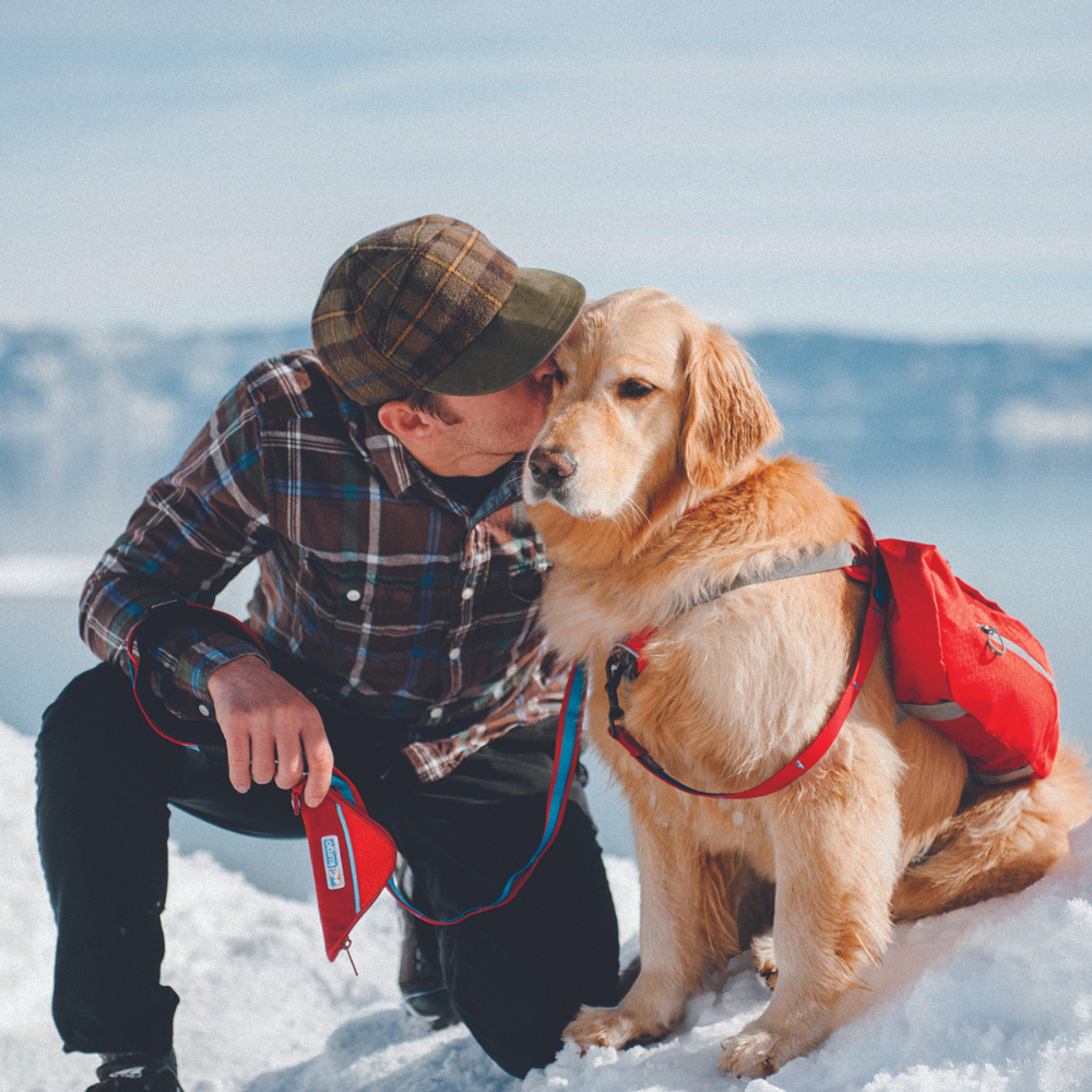 Kurgo hondenrugzak Baxter Backpack Large (22-50 kg) – lichtgewicht