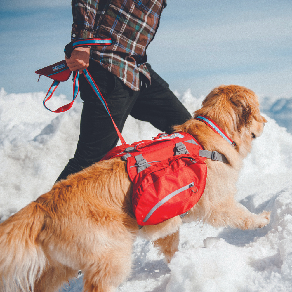 Kurgo hondenrugzak Baxter Backpack Large (22-50 kg) – lichtgewicht