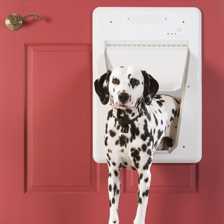 PetSafe SmartDoor™ Elektronische Dierenluik – Voor binnen en buiten
