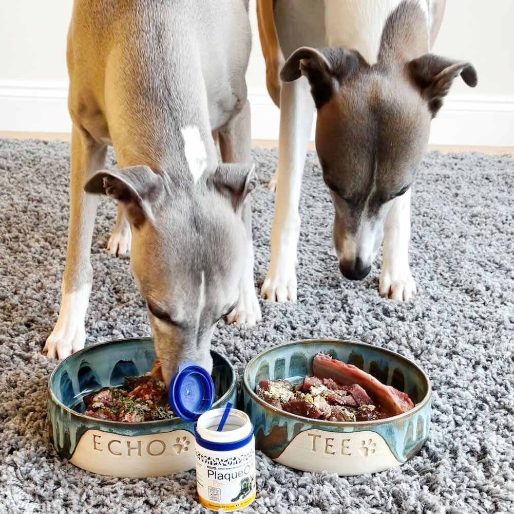 ProDen PlaqueOff Poeder voor Honden 60g – Natuurlijke frisheid