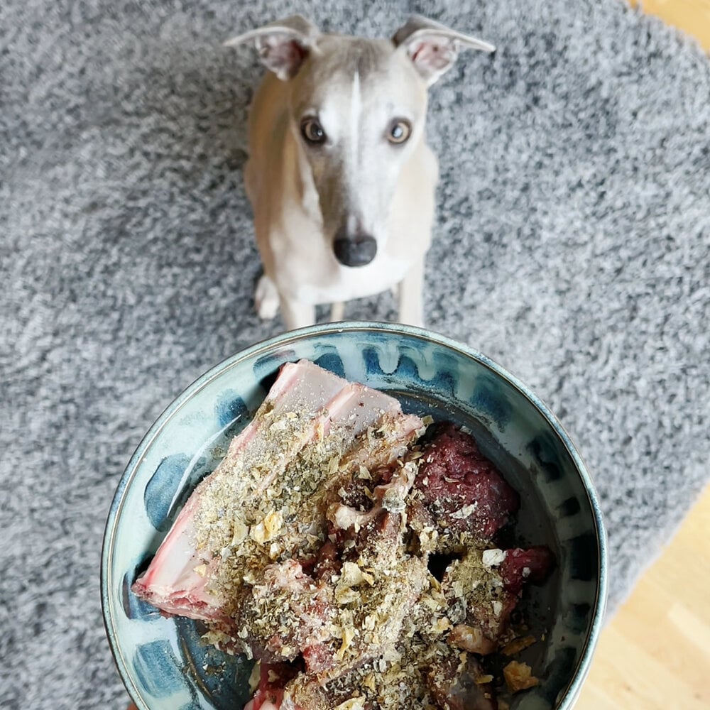 ProDen PlaqueOff Poeder voor Honden 60g – Natuurlijke frisheid