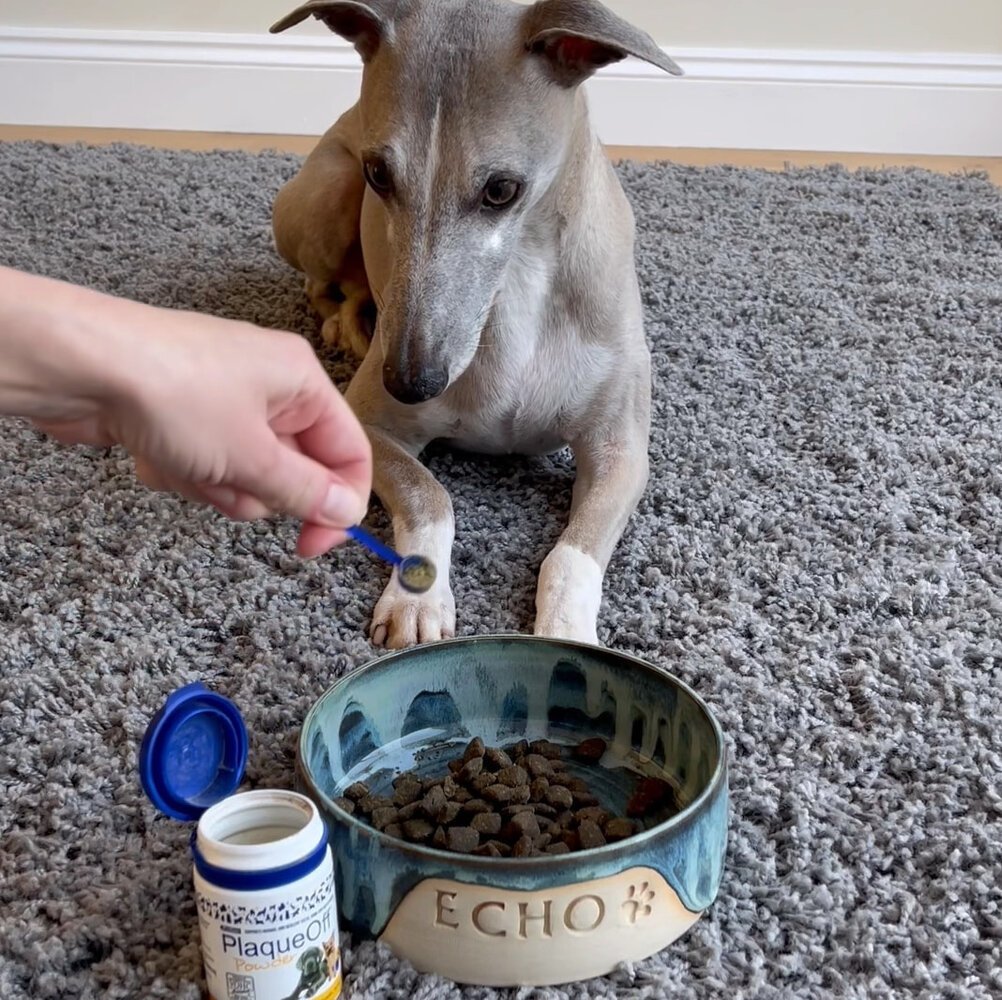 ProDen PlaqueOff Poeder voor Honden 60g – Natuurlijke frisheid
