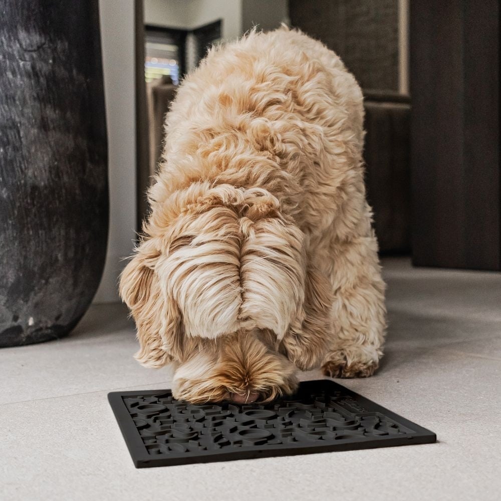 District 70 hondenlikmat QUEST Donkergrijs 28×28 cm – Merengue & Terra