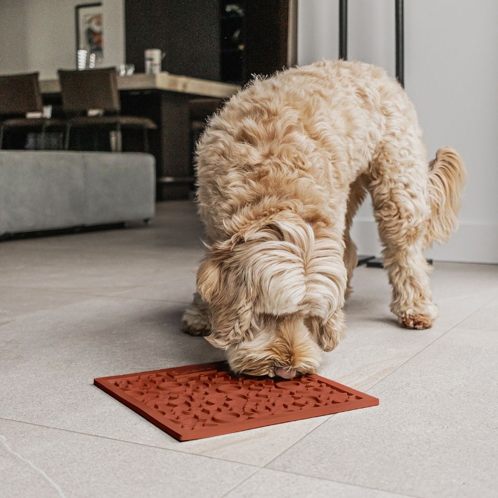 District 70 hondenlikmat QUEST Terra 28×28 cm – Merengue & Donkergrijs