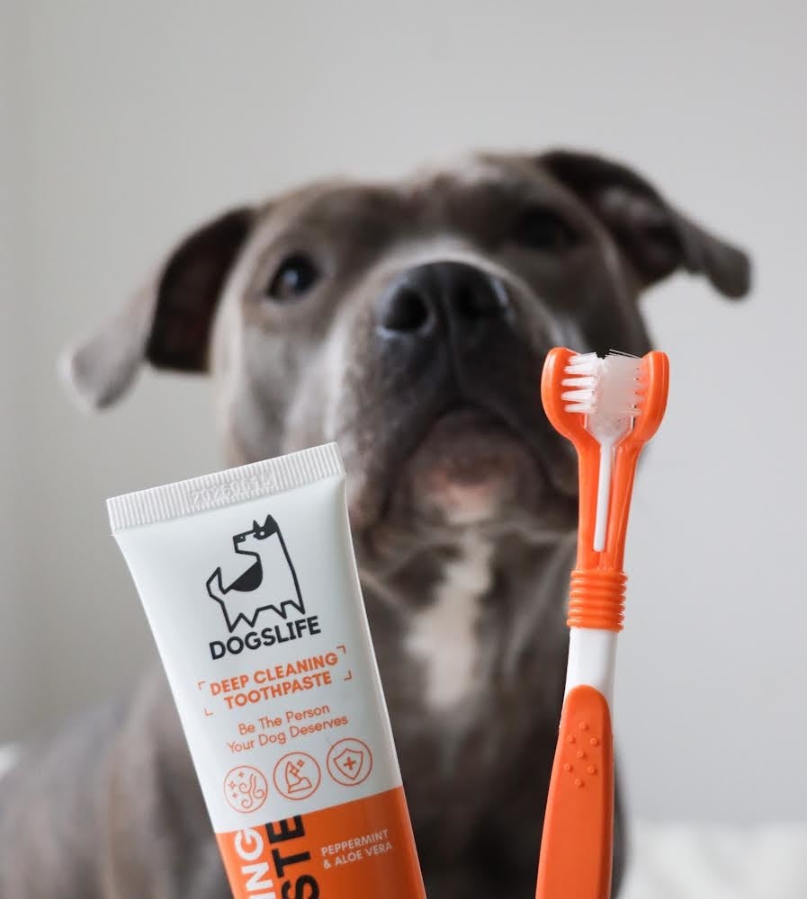 DogsLife honden tandenborstel Dental Kit – mondhygiëne verbeteren