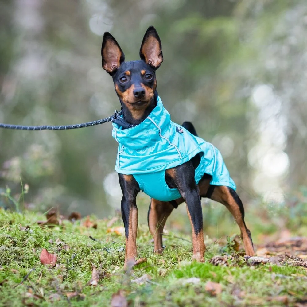 Rukka hondenregenjas Hase - Maat 25, Turquoise - lichtgewicht
