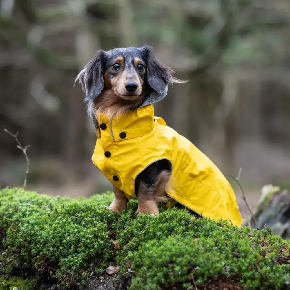 Rukka hondenregenjas Stream Raincoat Maat 30 – 100% waterproof