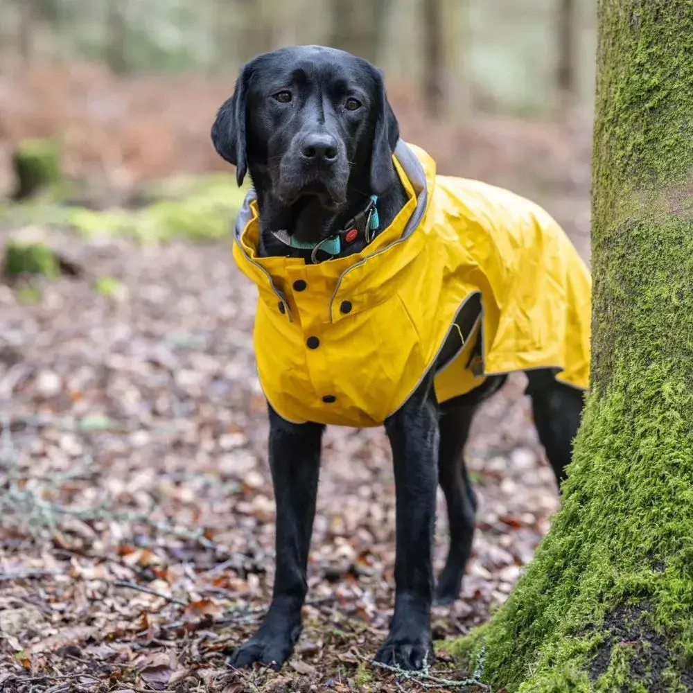 Rukka hondenregenjas Stream Raincoat Maat 45 – 100% waterproof