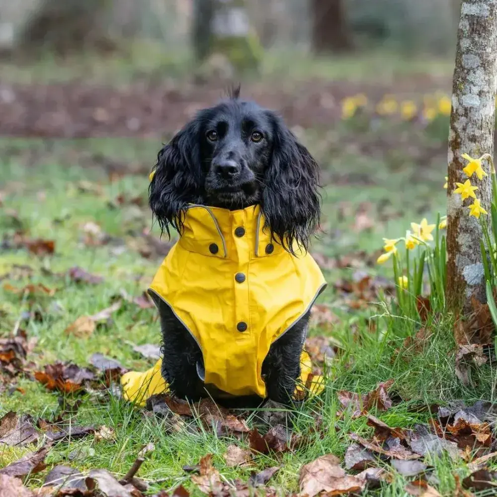 Rukka hondenregenjas Stream Raincoat M75 – 100% waterproof