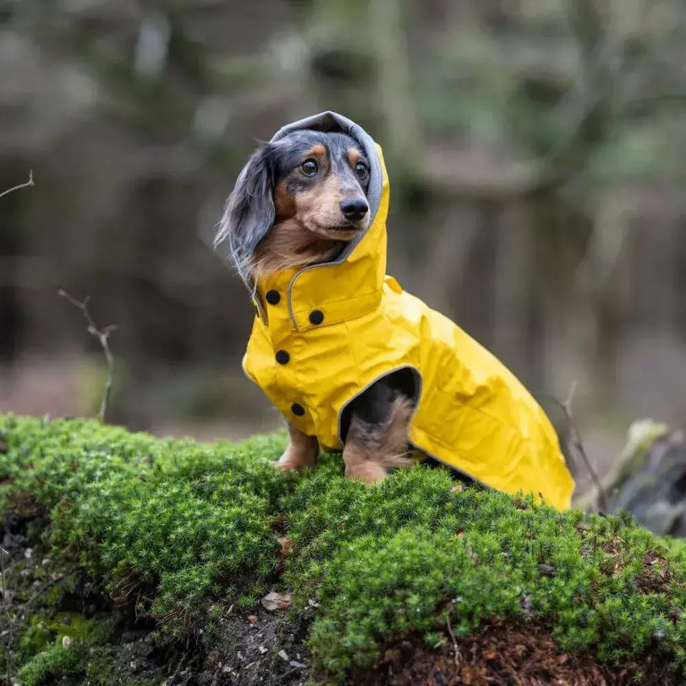 Rukka Hunde-Mackintosh Stream Regenmantel Größe 35 - Wasserdicht