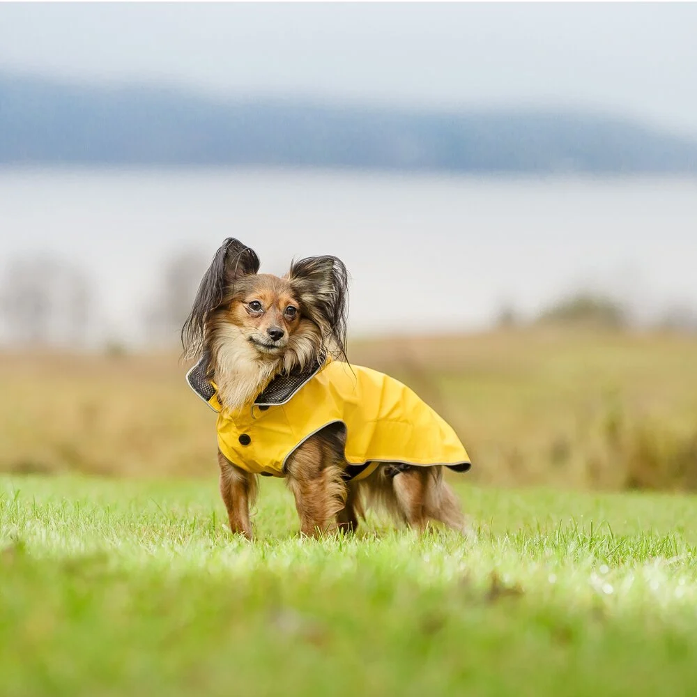 Rukka hondenregenjas Stream Raincoat Maat 30 – 100% waterproof