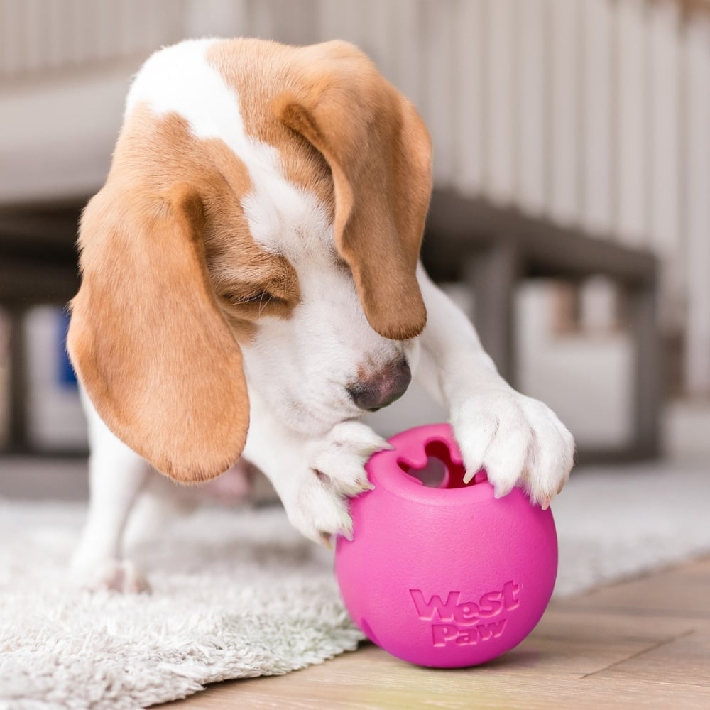 West Paw hondenrubber speeltje Zogoflex Echo Rumbl Small – Hot Pink