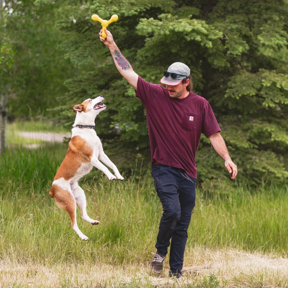 West Paw Zogoflex Echo Skamp 22×22 cm - Löwenzahngelb