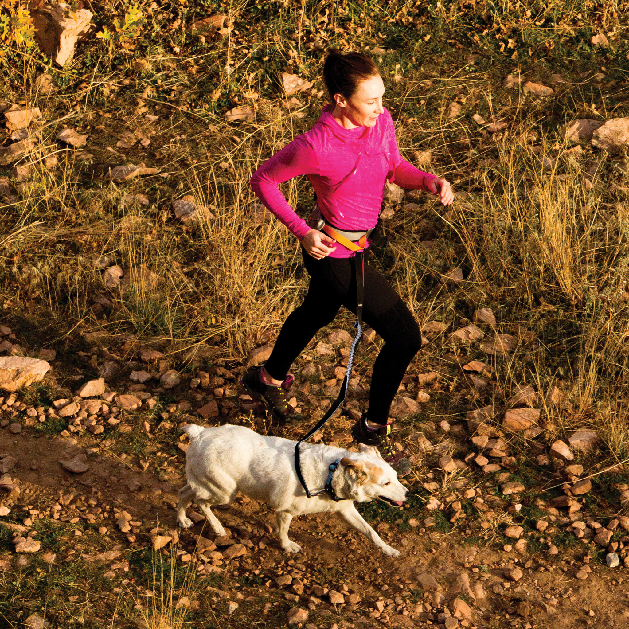 Kurgo Hondenriem Springback Large 120 cm – Bungee Effect