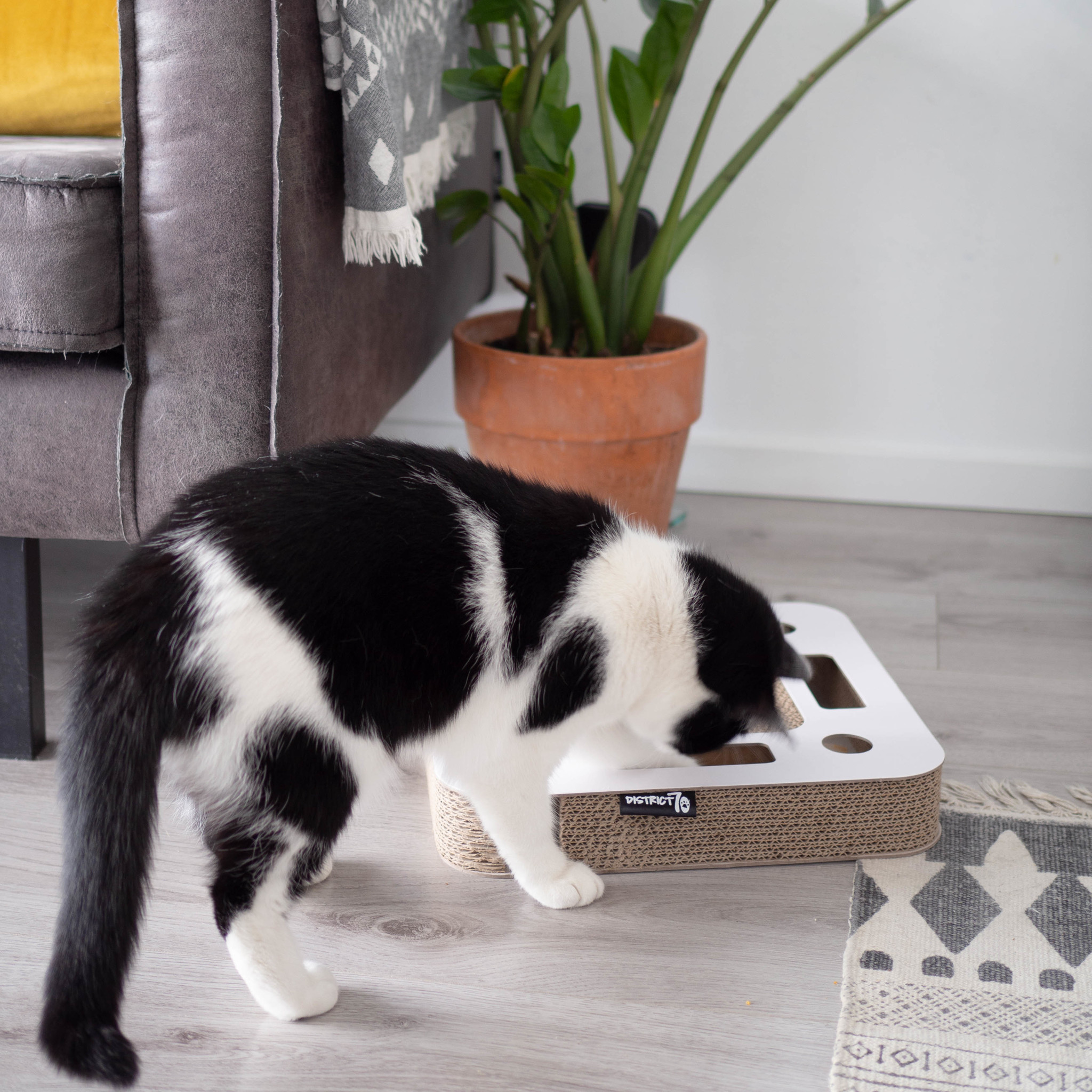 District 70 Krabspeelgoed SPY Wit – Stimulans voor Binnenkatten