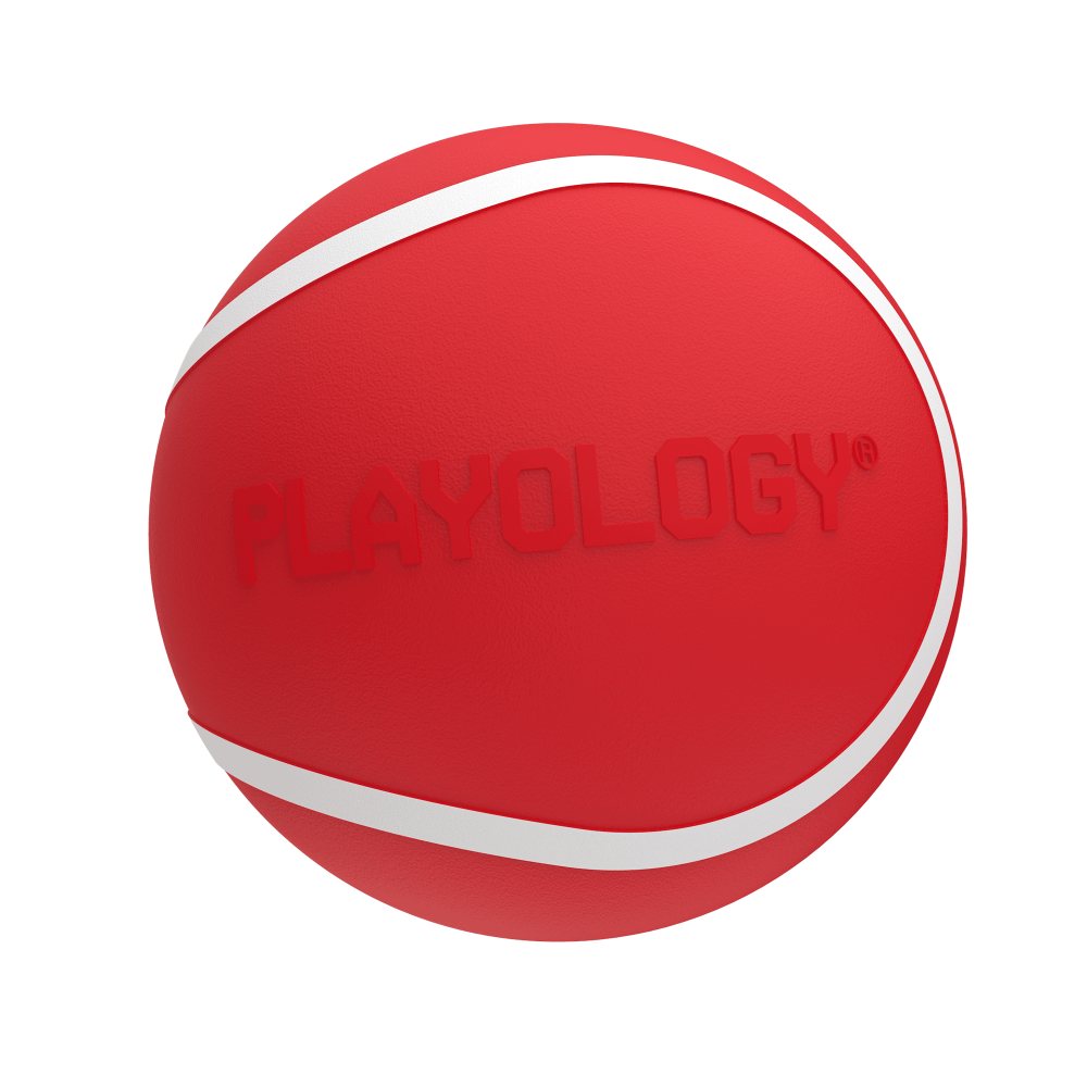 Playology Squeaky Chew Ball hondenbal met pieper
