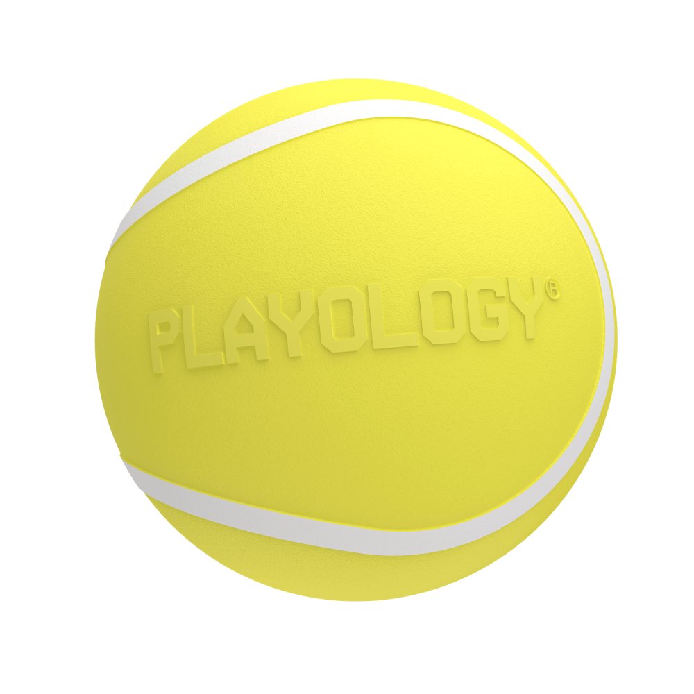 Playology Squeaky Chew Ball hondenbal met pieper