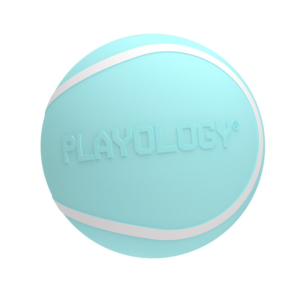 Playology Squeaky Chew Ball hondenbal met pieper
