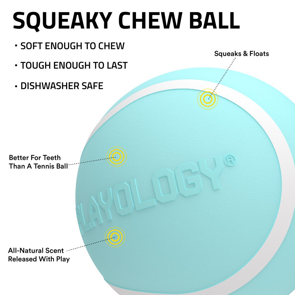 Playology Squeaky Chew Ball hondenbal met pieper