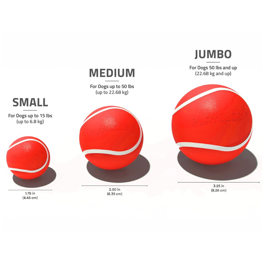Playology Squeaky Chew Ball hondenbal met pieper