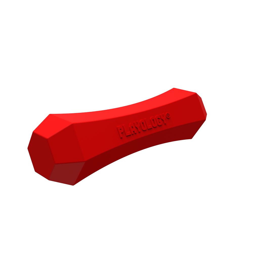 Playology Squeaky Chew Stick kauwspeeltje met pieper