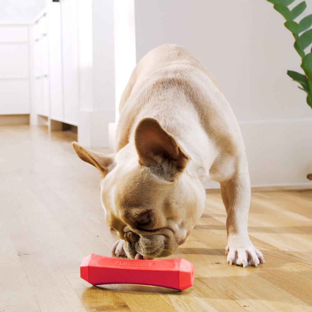 Playology Squeaky Chew Stick kauwspeeltje met pieper