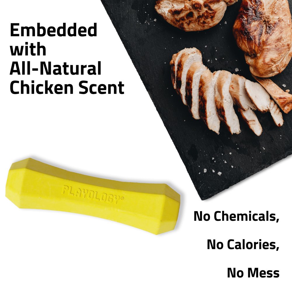 Playology Squeaky Chew Stick kauwspeeltje met pieper