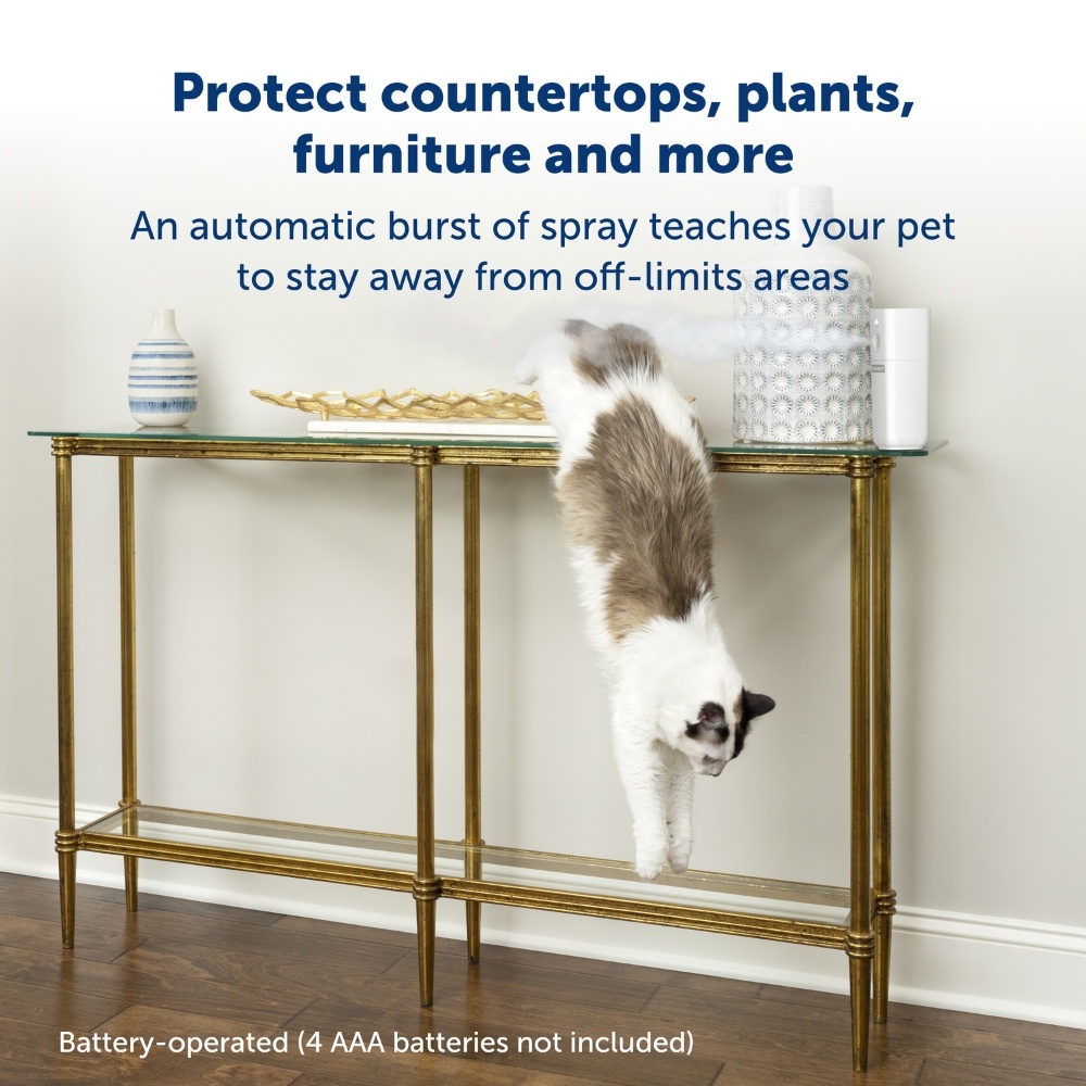 PetSafe SSSCAT Automatische Afweerspray voor Huisdieren – Startkit