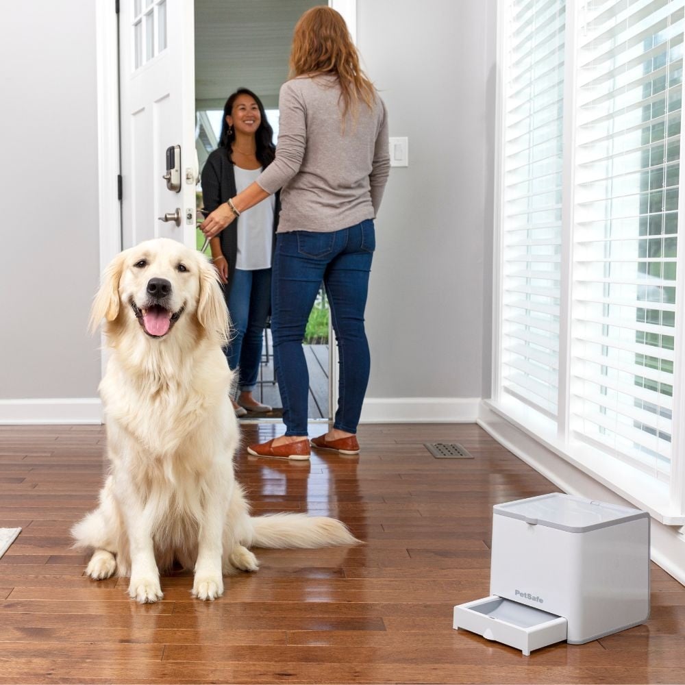 PetSafe Beloningstrainer Teach & Treat met Afstandsbediening – Default