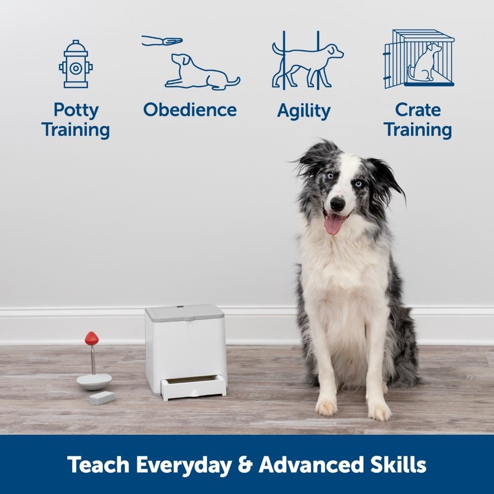 PetSafe Beloningstrainer Teach & Treat met Afstandsbediening – Default