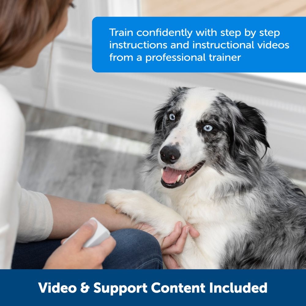 PetSafe Beloningstrainer Teach & Treat met Afstandsbediening – Default