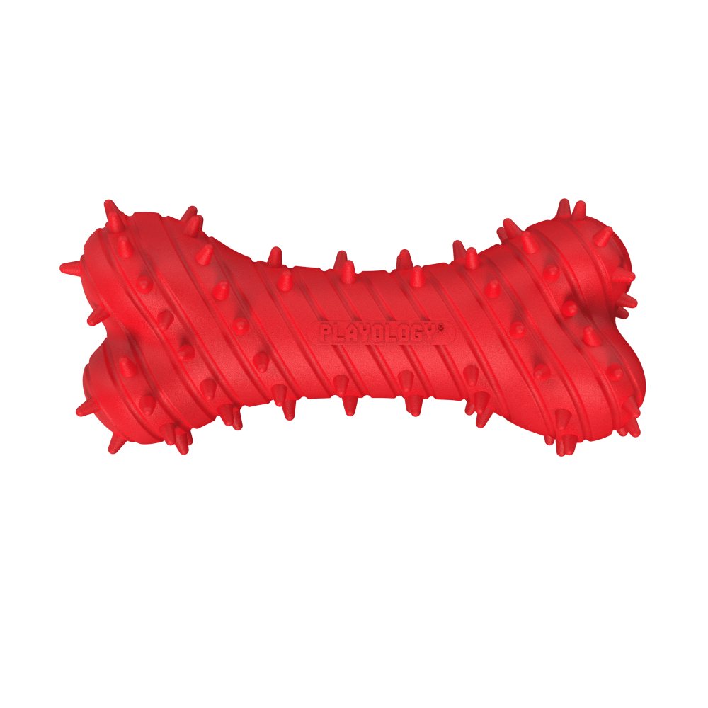 Teething Bone - Beef - Large