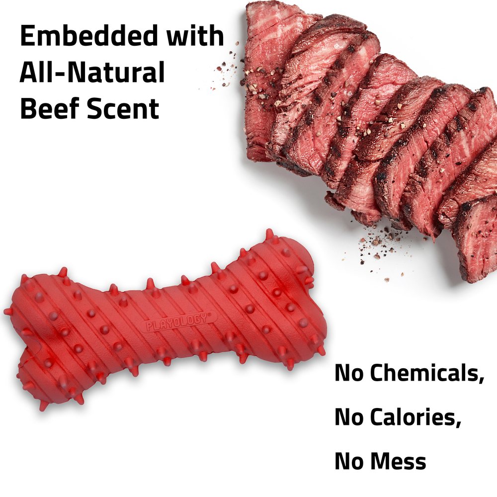 Teething Bone - Beef - Large