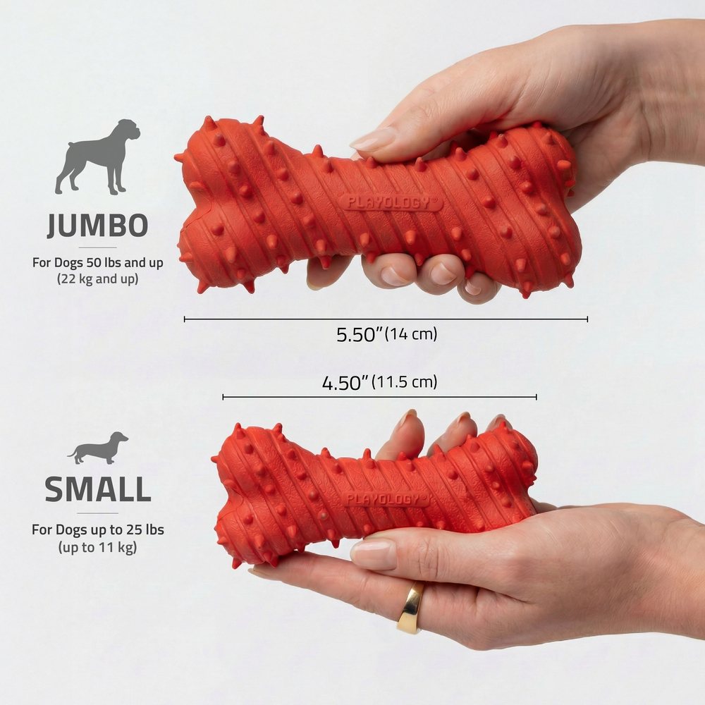 Teething Bone - Beef - Large