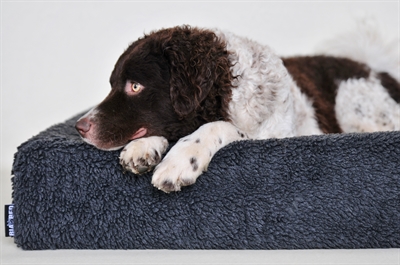 BIA Hondenmand Fleece Hoes Grijs Bia-6 100×80×15 cm – Zacht en Warm