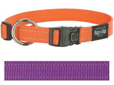 ROGZ FOR DOGS Fanbelt Halsband Paars | 20mm x 34-56 cm