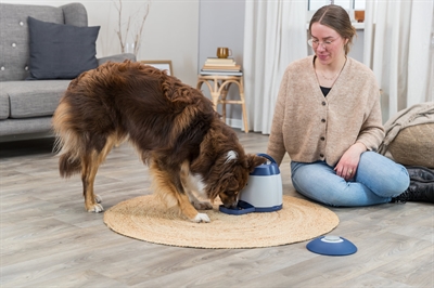 TRIXIE Honden Activiteit Memory Trainer 3.0 20×24 cm – Interactief Spel