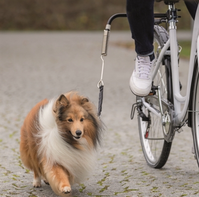 TRIXIE Fietsbeugel BikerSet Springer – veilig en reflecterend