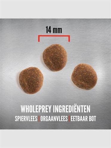 ORIJEN hondenvoeding Whole Prey 6 Fish 11,4 kg – natuurlijke visvoer