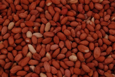 MERKLOOS Pinda's Gepeld 25 kg – Vogels Voeding