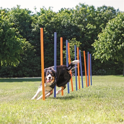 TRIXIE Agility Slalom Stokken Blauw/Oranje 115×3 cm – 12 Stangen