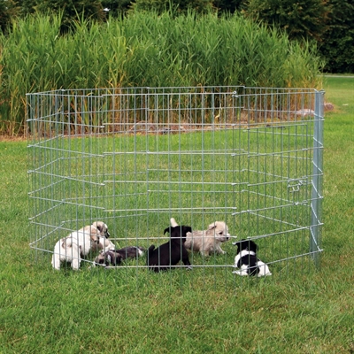 TRIXIE Puppyren Gegalvaniseerd Metaal 8 Panelen 61×91 cm – Dia 154 cm