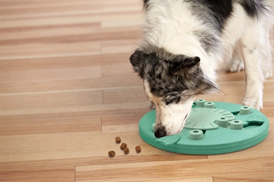 NINA OTTOSSON Hondenpuzzel Dog Worker Composiet - 3 niveaus - mintgroen - 34,5 cm